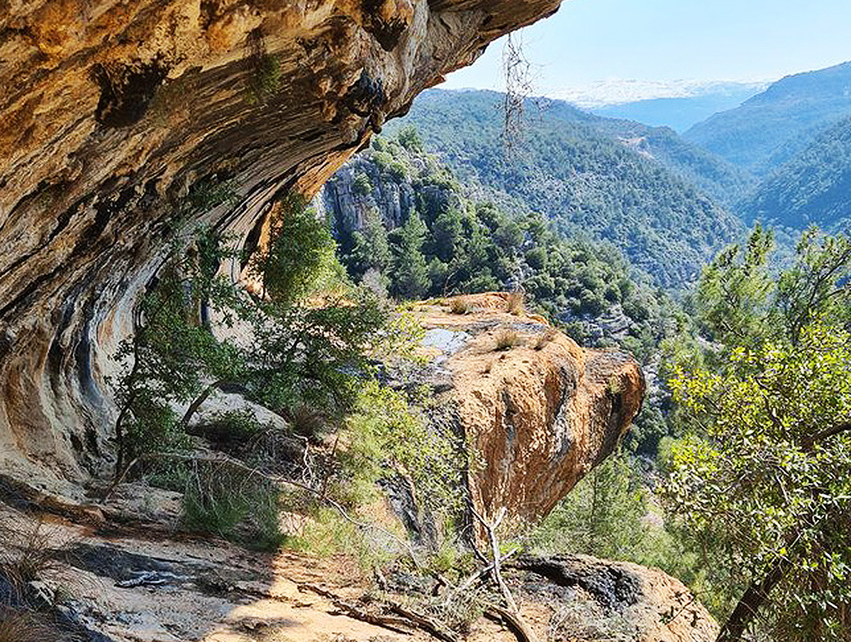 Discover the hidden gems around Printania: the ultimate guide to must-see attractions near the hotel
